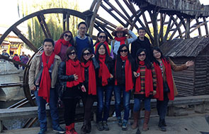 Alucoworld workers
