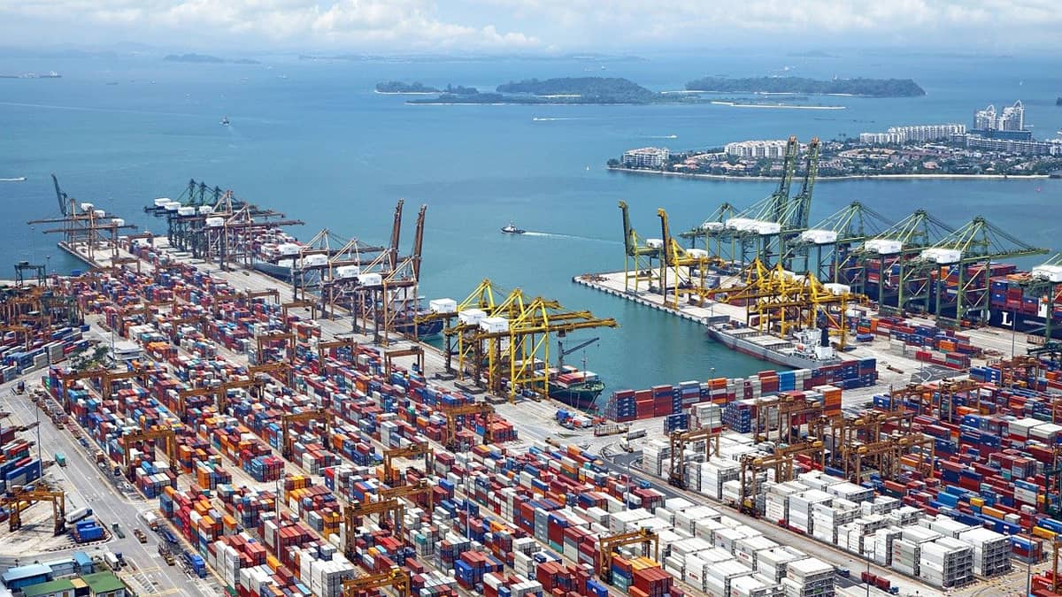 Why Ocean Freight Rates So High?