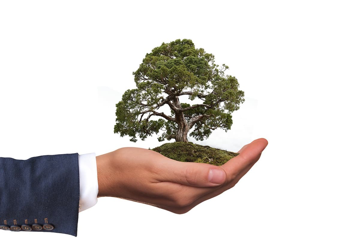 Environmental Protection